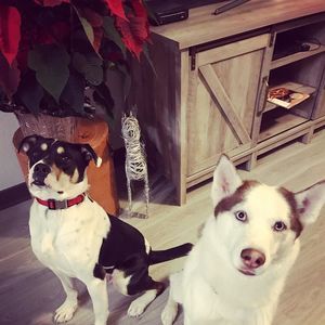 Meet your Posher, Noah gunner's